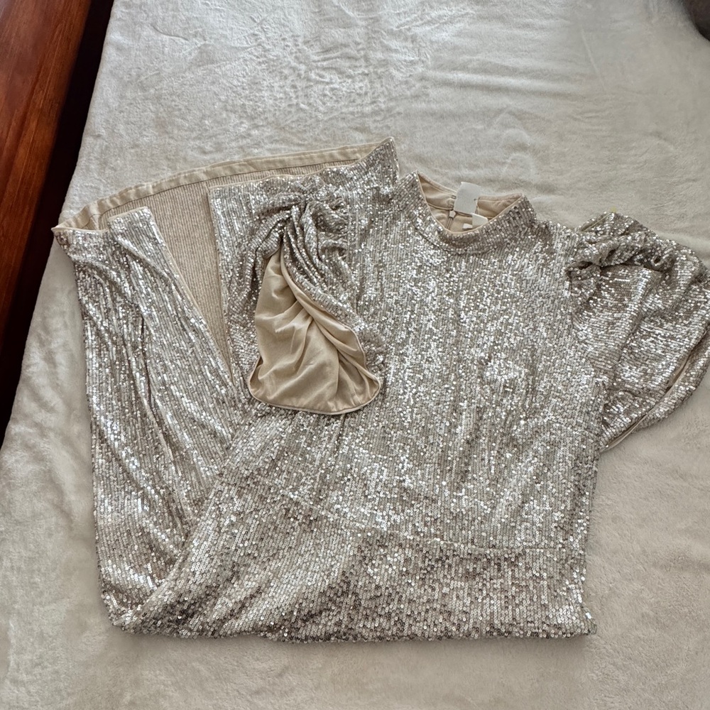 H&M Silver Sequin Dress